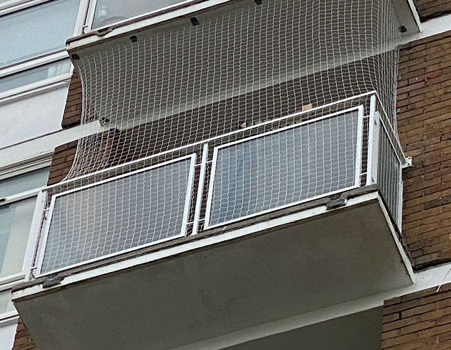 bird control