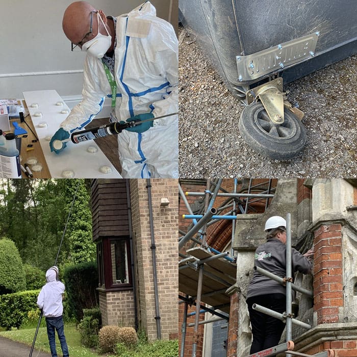 pest proofing