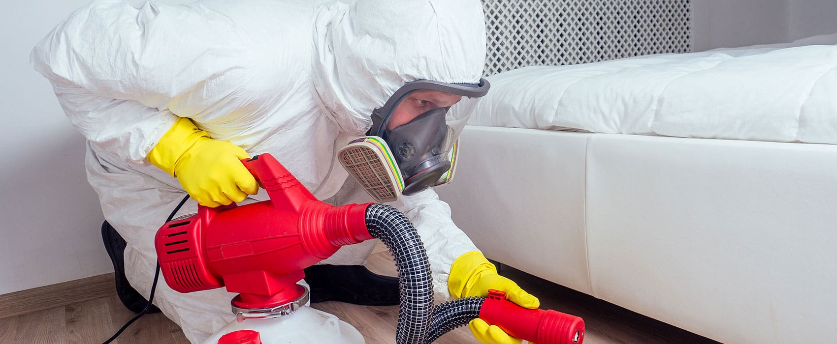 bed bug treatment